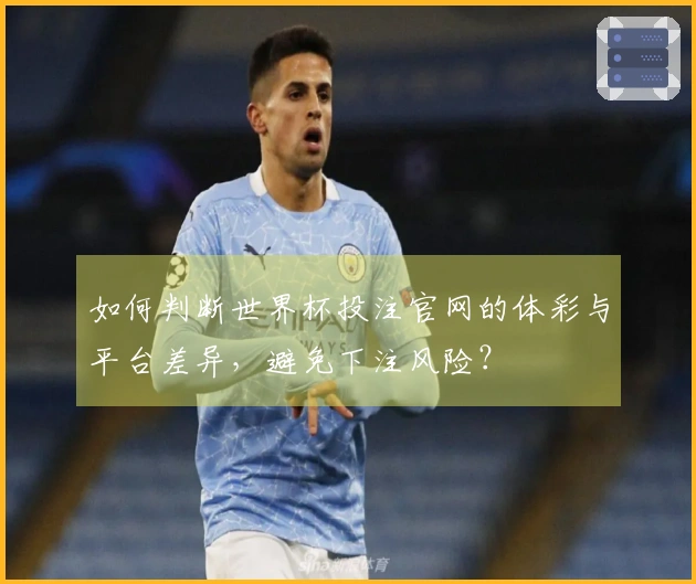 如何判断世界杯投注官网的体彩与平台差异，避免下注风险？