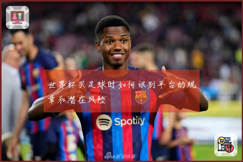 世界杯买足球时如何识别平台的规章和潜在风险