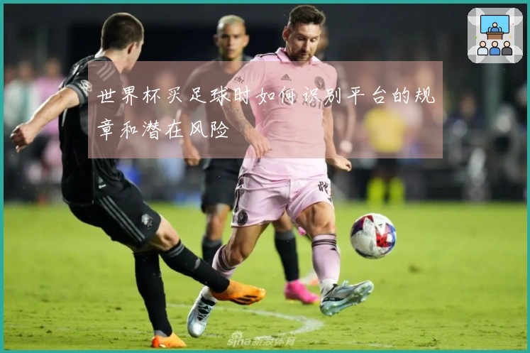 世界杯买足球时如何识别平台的规章和潜在风险