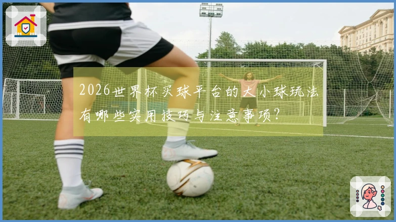 2026世界杯买球平台的大小球玩法有哪些实用技巧与注意事项？
