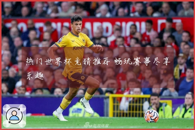 热门世界杯竞猜推荐 畅玩赛事尽享乐趣