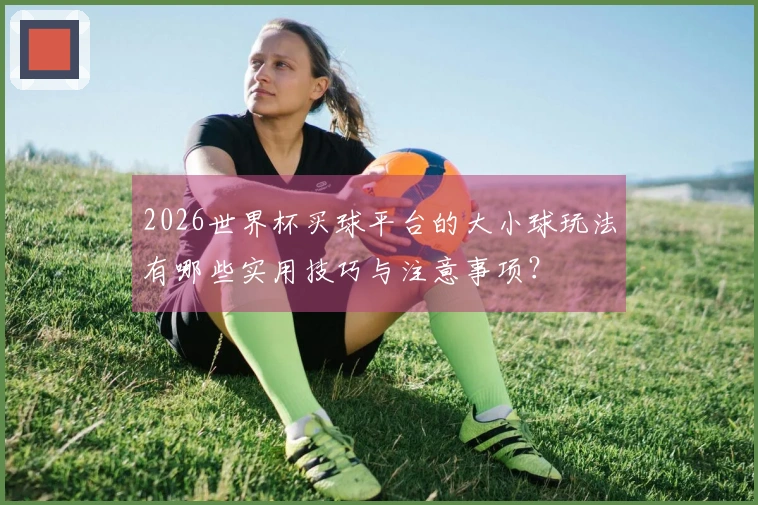 2026世界杯买球平台的大小球玩法有哪些实用技巧与注意事项？